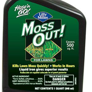 Lilly Miller Moss Out for Lawns Ready to Spray 32oz, 1-(Pack)